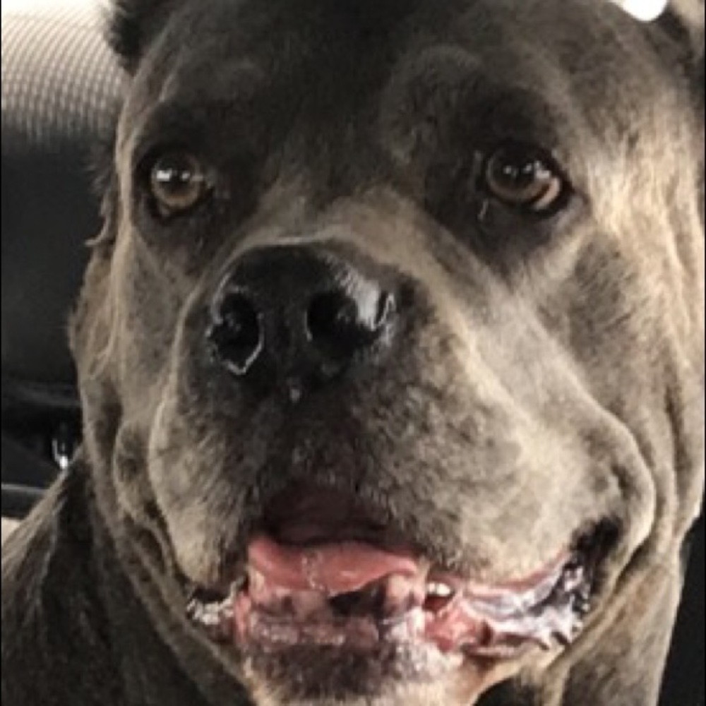 Meet your Posher, Kingston